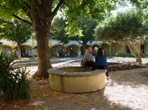 My photo of the same scene.