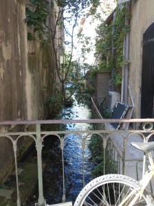 One of the canals in L'Isle sur la Sorgue